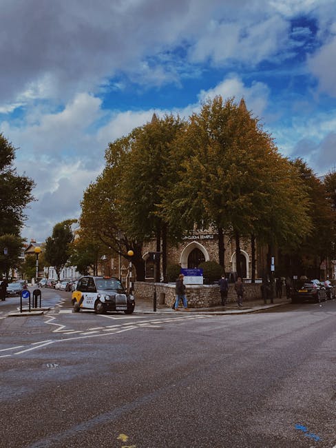 A street scene featuring a prominent tree with dense, green and brown foliage situated in front of a brick building with an arched entrance, labeled 'LADY TENNIS' above the doorway. The tree partially obscures the building’s facade, which is surrounded by a low stone wall and has a small set of steps leading up to the entrance. Several parked cars, including a grey and a white vehicle, are positioned along the curb, with one car approaching the intersection. Pedestrians are visible on the sidewalk, some walking past the building and others near the street junction. The sky above is partly cloudy with patches of bright blue, indicating daylight hours. The scene appears to capture an urban area with typical road markings, traffic bollards, and street furniture, consistent with a setting where private or alternative waste removal services could operate independently from municipal waste collection, supported by the presence of parked vehicles and street-level activity.